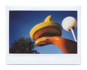 18_SouthoftheBorder_LeighWebber.jpg
