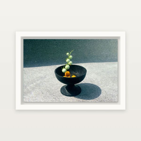 06_Fate_1_Underwater Altars | Fine Art Still Lifes by Leigh Webber