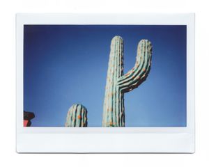 13_SouthoftheBorder_LeighWebber.jpg