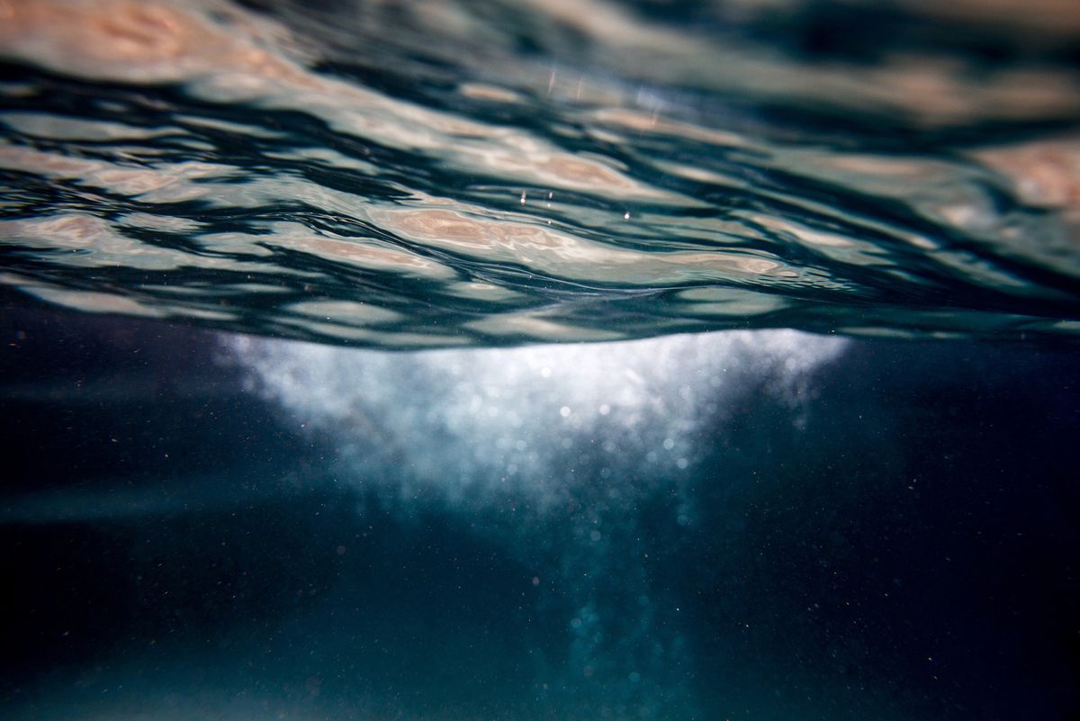 Underwater Photography - Dive In - Photography by Leigh Webber