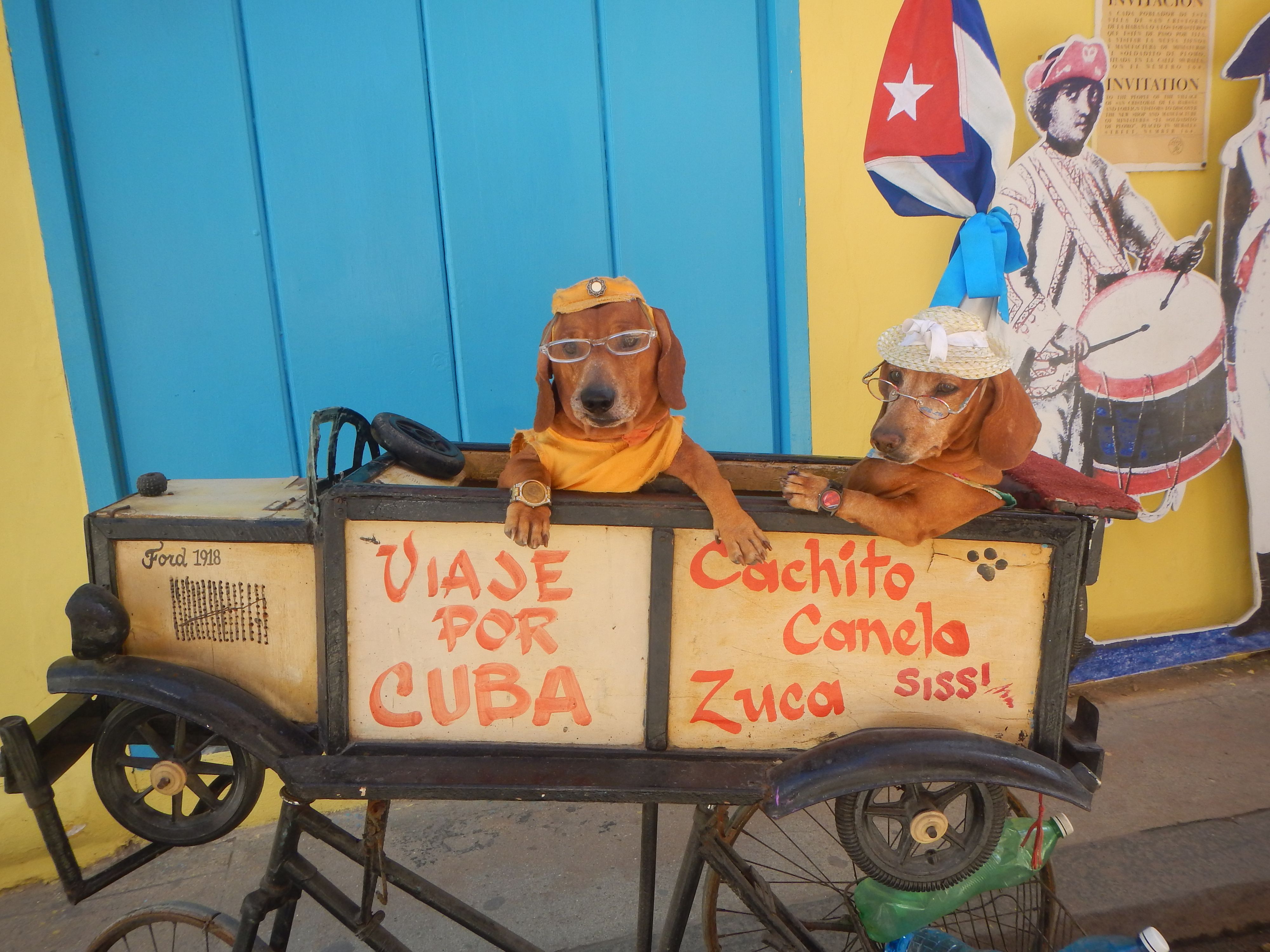 workers. havana. cuba