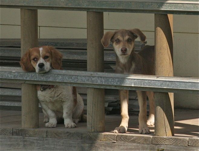 locals, guatemala