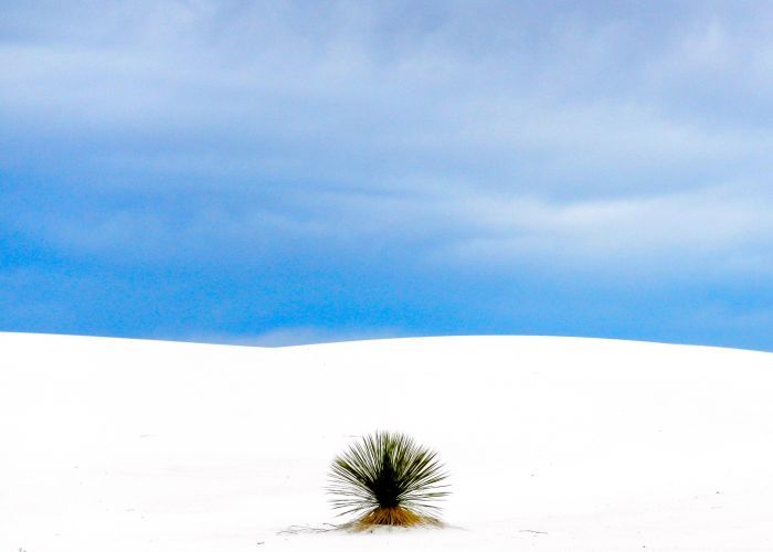 White Sands National Park. New Mexico