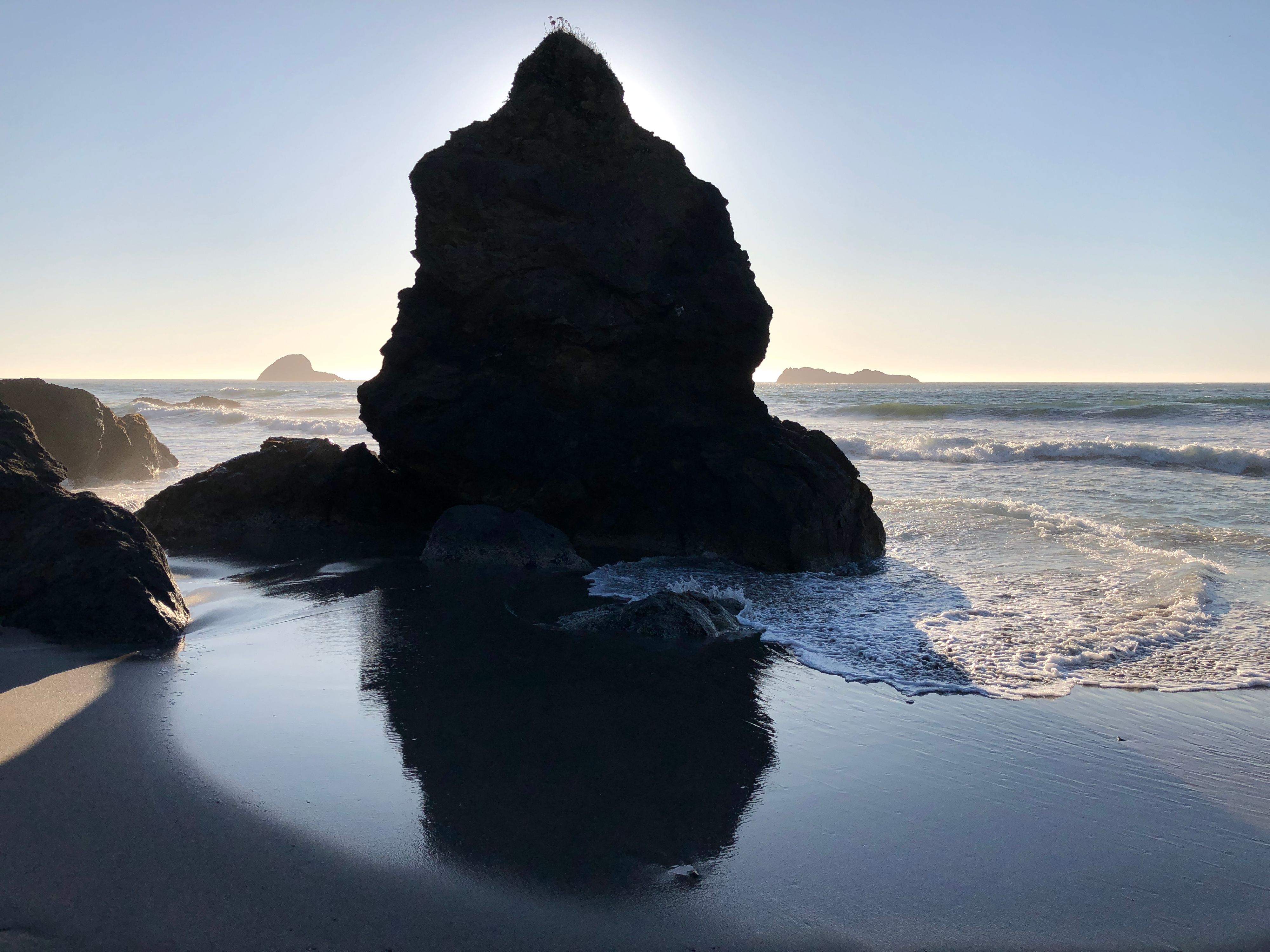 Beach rock. Humbolt County. California.