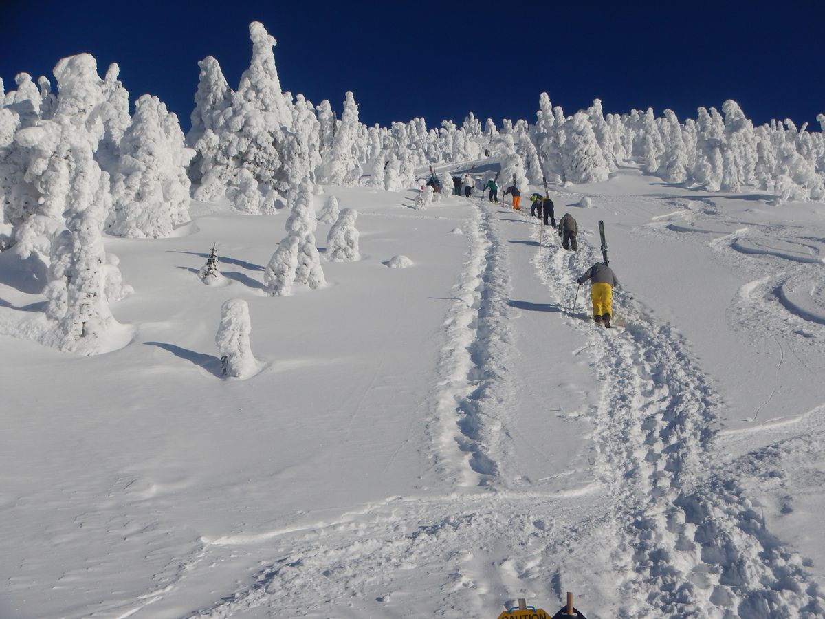 Stairway to powder heaven. Revelstoke. Canada