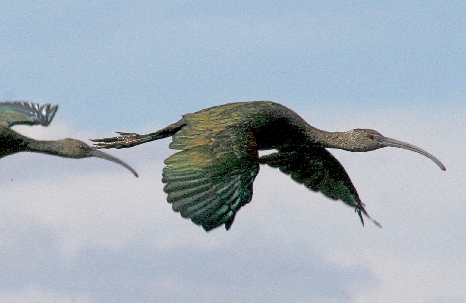 aerodynamic. bitter lake. new mexico