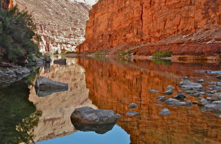 Early morning. Colorado River. Grand Canyon.