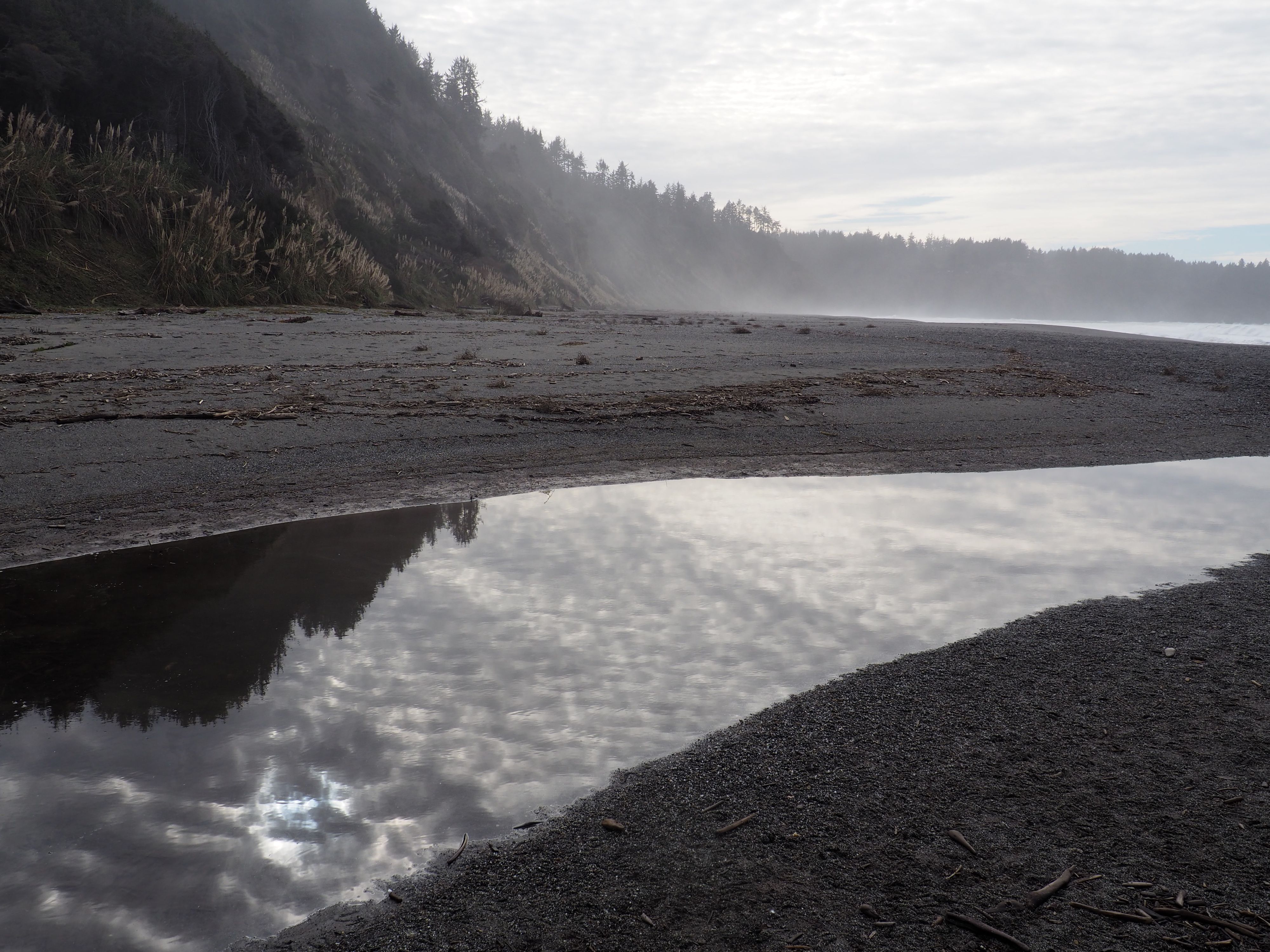 Reflections. Patrick Point. California.