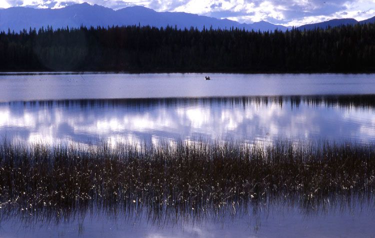 blue lake,  alberta, canada