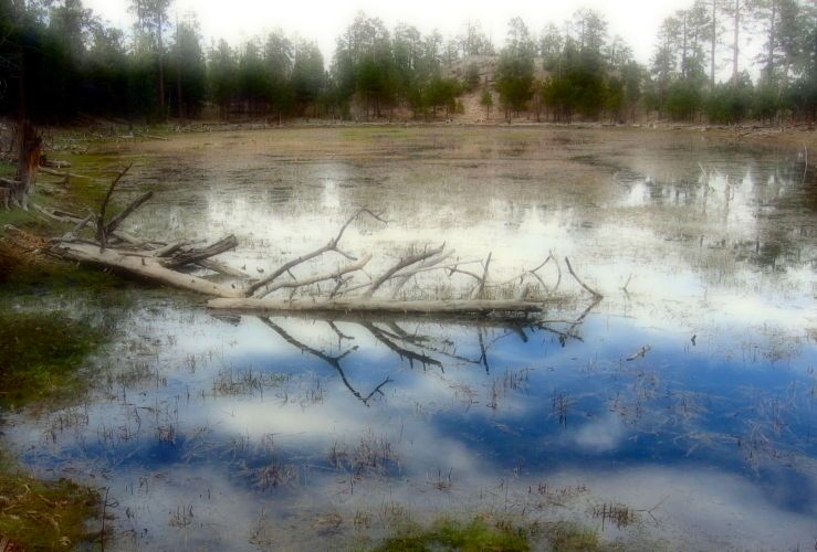 Quiet mountain lake. Navajo territories. Arizona.