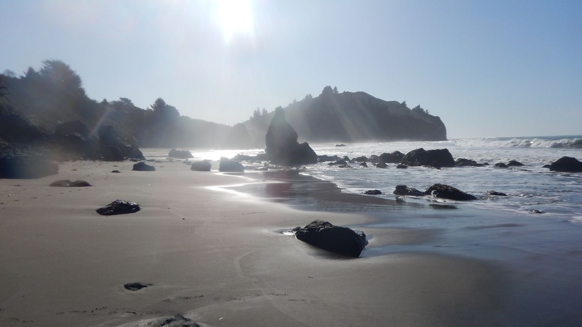 Humbolt beach . California.
