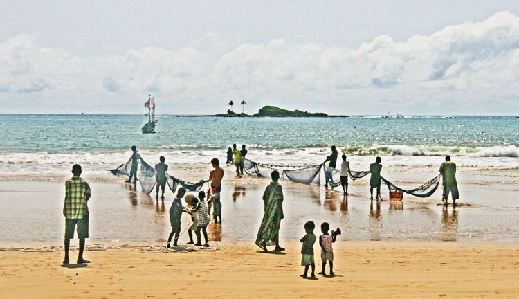 pulling in the catch. ghana, 