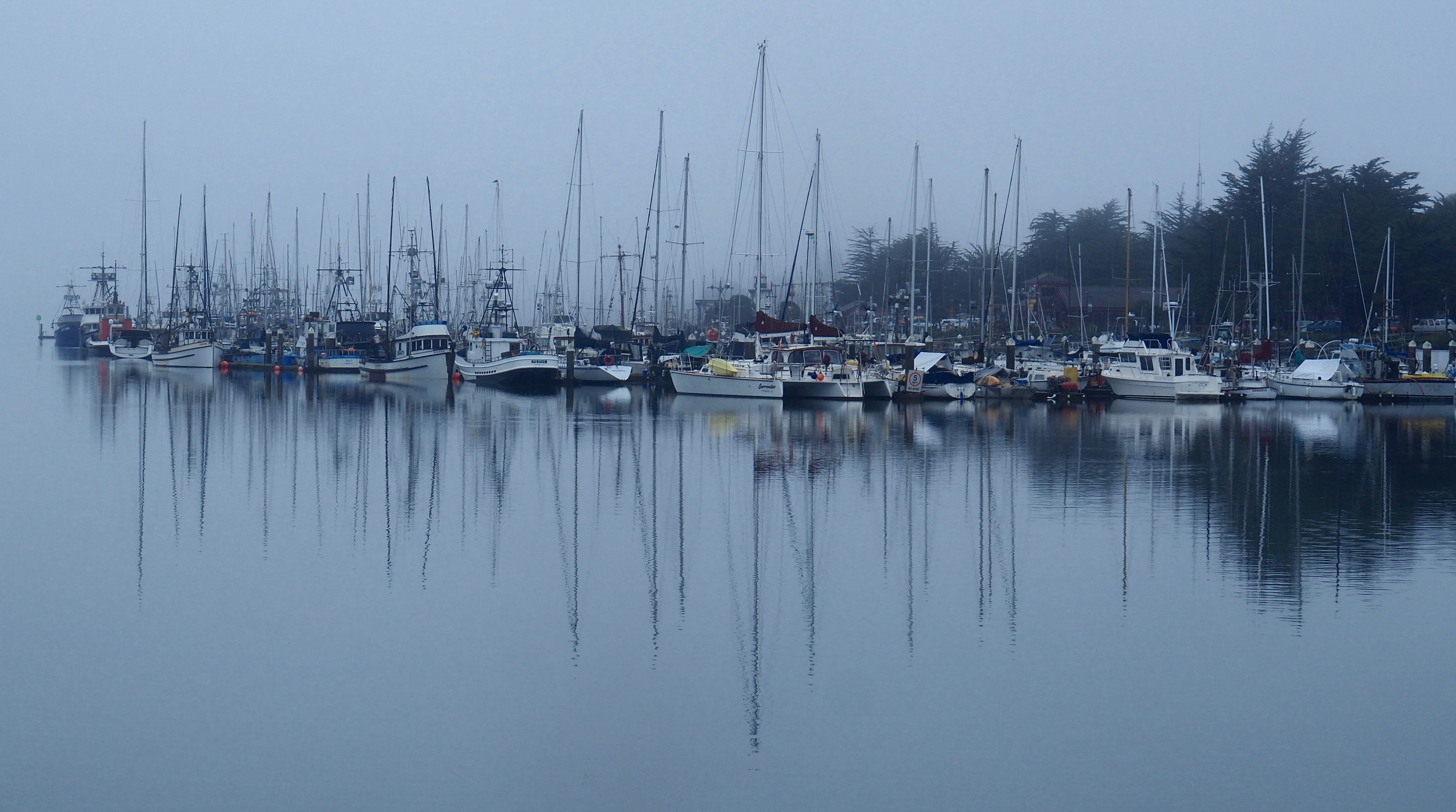 boats. eureka. ca