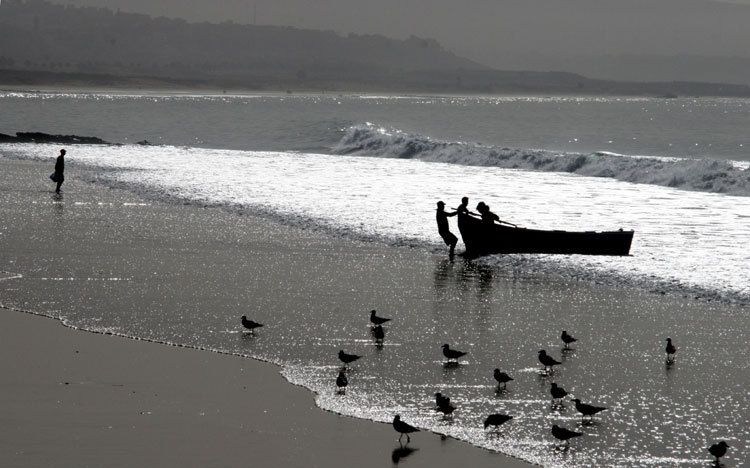 fishermen at twilight, taghazout, morocco