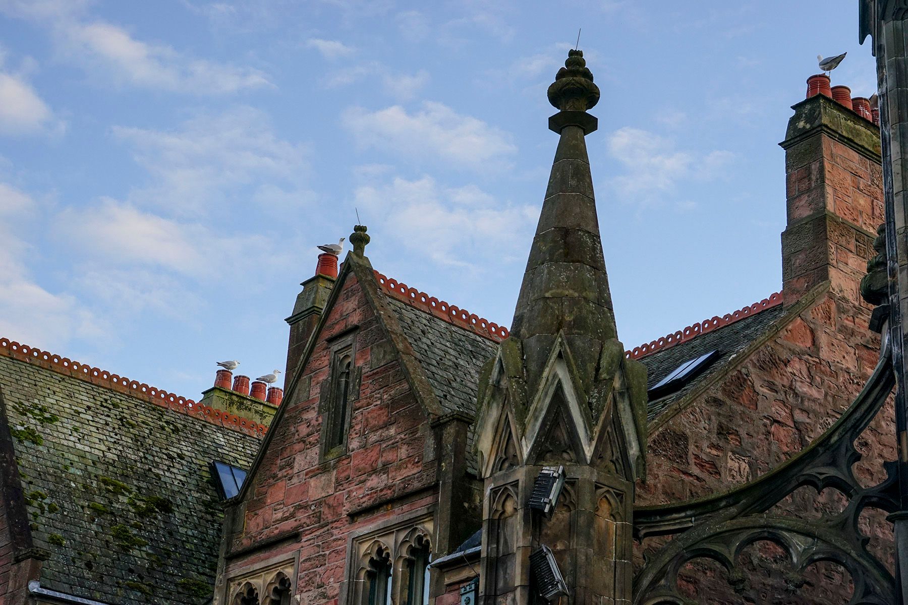Digital PhotographInverness, Scotland, UK Birds Perching on the Towering Rooftop