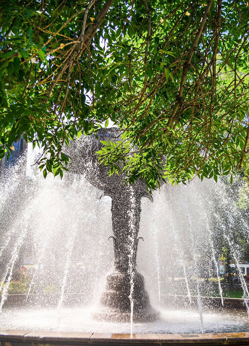 Digital PhotographHamilton, Ontario, Canada A Fountain of Leaves