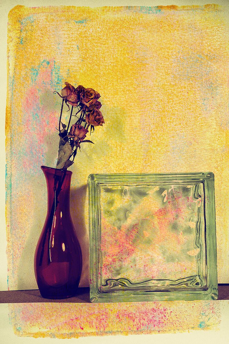 Digital Textured PhotographAvon, CT The Color of Flowers