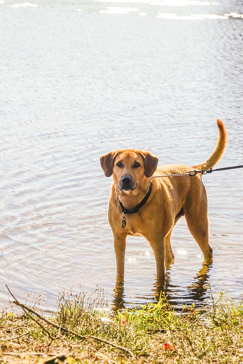 Digital PhotographTorrington, CT Walking in Water