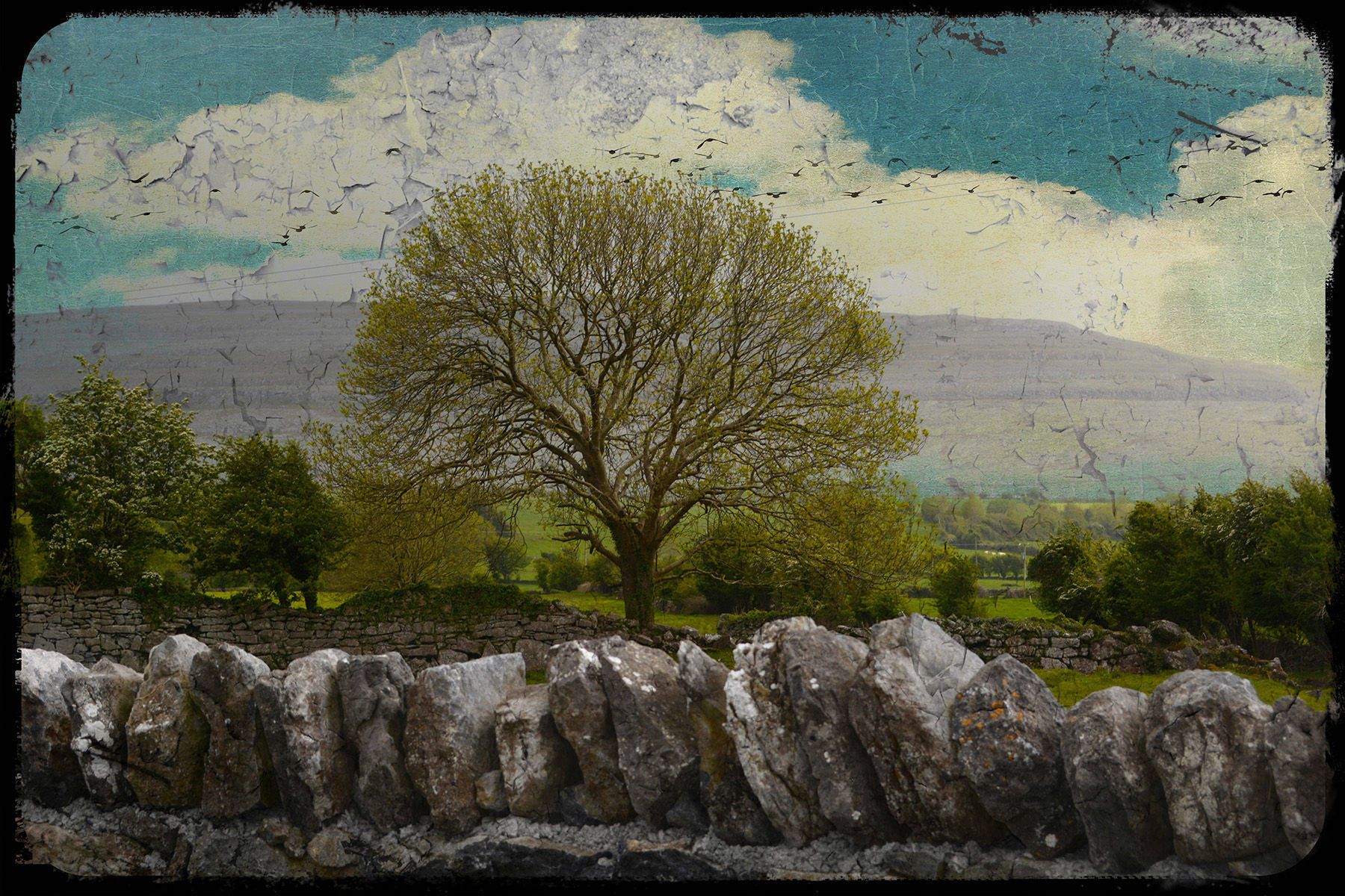 Digital Textured PhotographCounty Clare, Western Ireland An Eerie Tree in the Irish Countryside