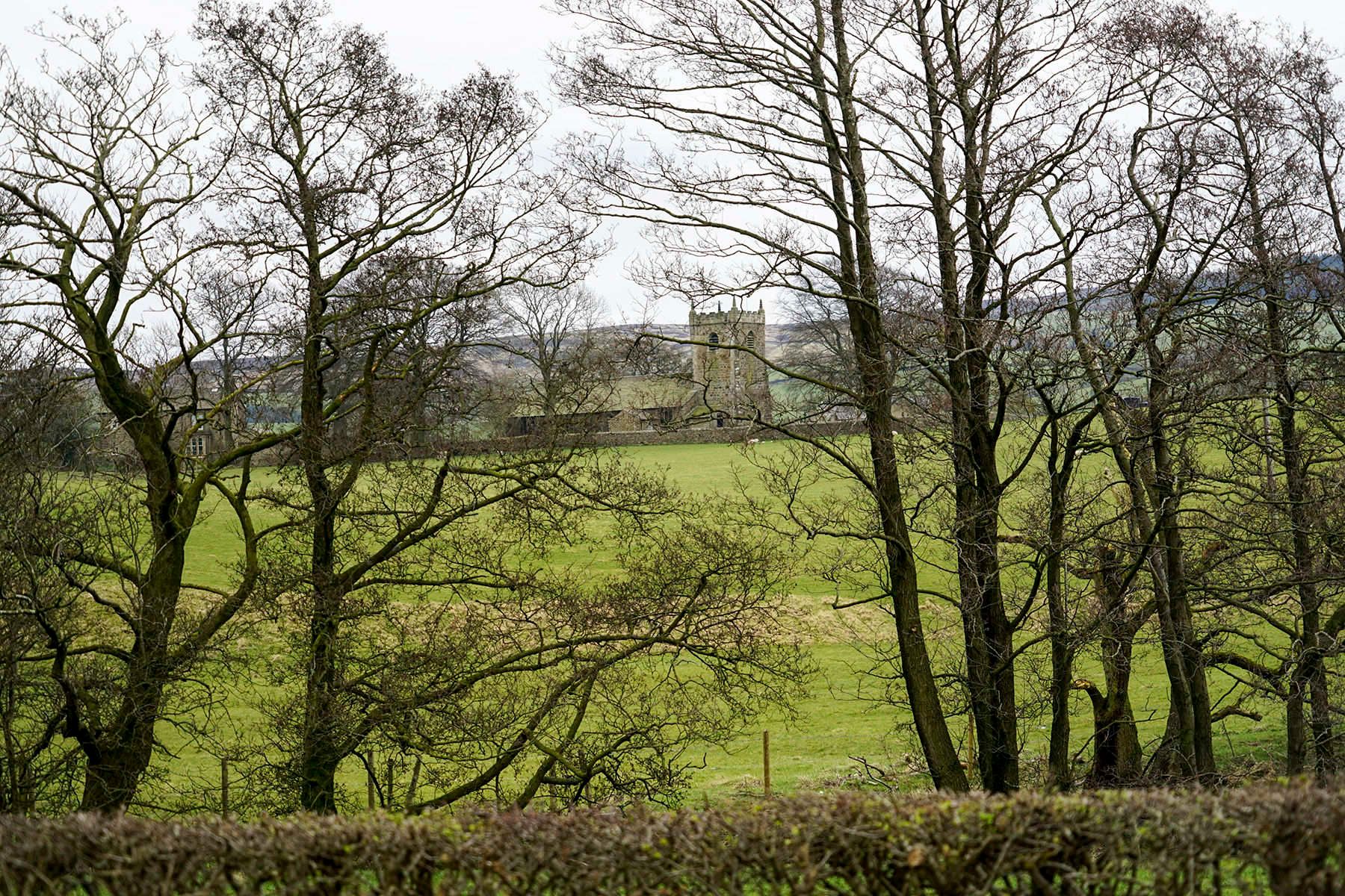 Digital PhotographUK Countryside A Castle through the Trees