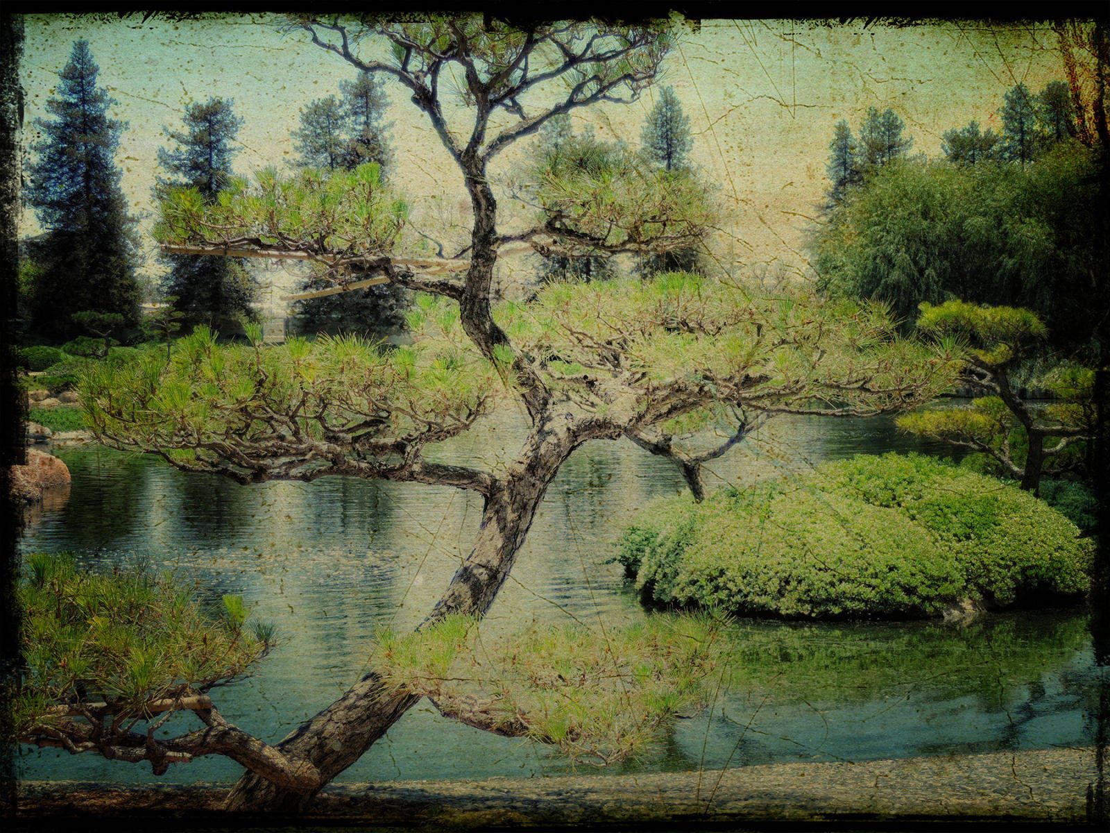 Digital Textured PhotographVan Nuys, California The Japanese Garden