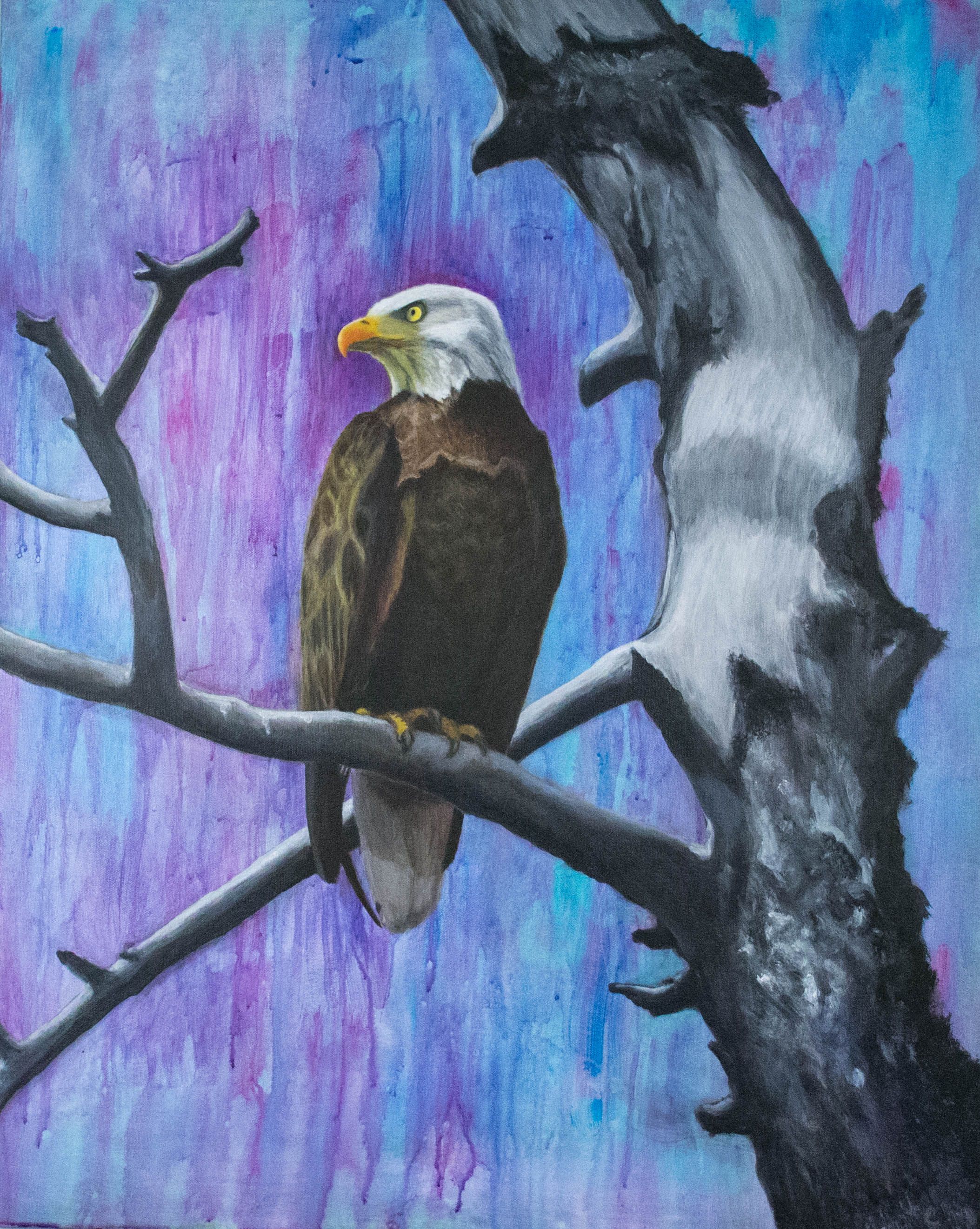 Acrylic on Canvas 24 x 30 Snake River Eagle