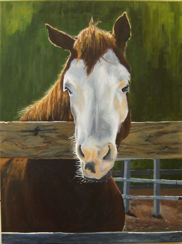 Acrylic on Canvas 18x24 (SOLD) That Damn Horse