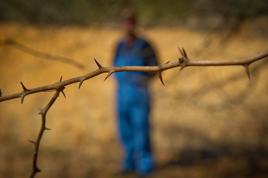A lone briar is the perfect metaphor for the post-Iraq War life of veteran Shane Parham, who after returning home with PTSD has seen his life fall apart, including drinking, fighting, being arrested, loosing his family, and attempting to commit suicide. Photographed for CNN.com as part of a video project. THE WAR AT HOME