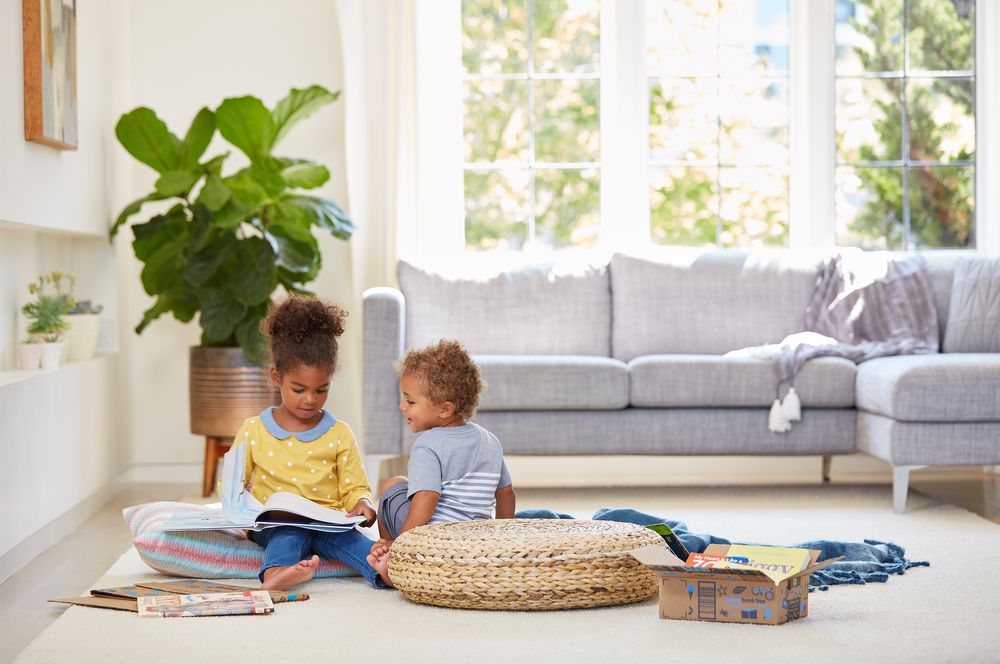 Prime Book Box Living Room