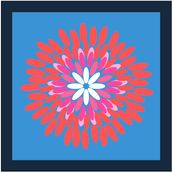 POSIE Navy/French Blue/Pink