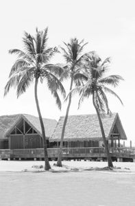 Photograph printed on Hahnemühle Fine Art paper. Available 20"x30" and larger. Limited Edition of 12. ISLAND SERIES No.7