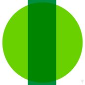 INTERSECTION Green/Lime