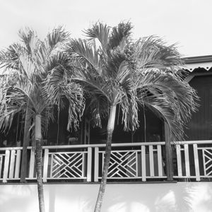 Photograph printed on Hahnemühle Fine Art paper. Available 20"x20" and larger. Limited Edition of 12. ISLAND SERIES No.5