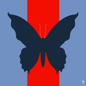BUTTERFLY Sky/Navy Blue/Red