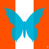 BUTTERFLY Turquoise/Coral