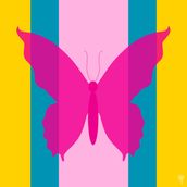 BUTTERFLY Turquoise/Punch