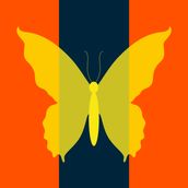 BUTTERFLY Marigold/Lapis