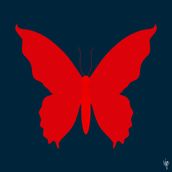 BUTTERFLY Midnight/Poppy