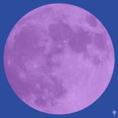 MOON Amethyst