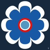 DAISY Red/White/Blue