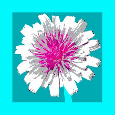 WRC-Dandelion_lgt turq dark turq.jpg