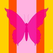 BUTTERFLY Citrus/Punch