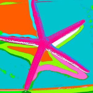 Photographs printed on Hahnemühle Fine Art paper. Available 20"x20" or larger, see Price List for details. Limited Edition of 25. SEA STAR AQUA