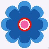 DAISY French Blue/Pink 