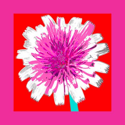 WRC-Dandelion_Pink_Red_turqstem.jpg