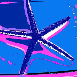 Photographs printed on Hahnemühle Fine Art paper. Available 20"x20" or larger, see Price List for details. Limited Edition of 25. SEA STAR BLUE