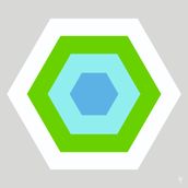 HEXAGON Gray/Lime