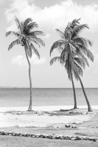 Photograph printed on Hahnemühle Fine Art paper. Available 20"x30" and larger. Limited Edition of 12. ISLAND SERIES No.6
