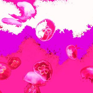Photographs printed on Hahnemühle Fine Art paper. Available 20"x20" or larger, see Price List for details. Limited Edition of 12. JELLYFISH PINK | PURPLE