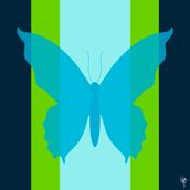 BUTTERFLY Midnight/Peridot